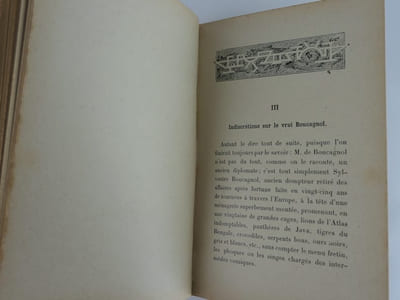 La Bête au bois dormant. Illustration par l'auteur
