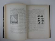 Christophe Colomb vu par un marin. Préface de Paul Chack. ENVOI DE L'AUTEUR. par Jean-Baptiste CHARCOT - Image 7