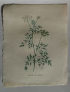 Image de livre