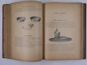 La Pâtisserie d'aujourd'hui. École des jeunes pâtissiers. Grands et petits gâteaux, sujets d'ornement, entremets chauds et froids, glaces au complet, conserves de fruits et de légumes. par Urbain DUBOIS (1818-1901) - Image 15