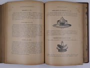 La Pâtisserie d'aujourd'hui. École des jeunes pâtissiers. Grands et petits gâteaux, sujets d'ornement, entremets chauds et froids, glaces au complet, conserves de fruits et de légumes. par Urbain DUBOIS (1818-1901) - Image 18
