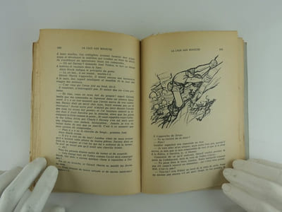La cages aux révoltés. Illustrations de Pierre Joubert. Collections Rubans Noirs. 