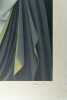 Félix LABISSE "Nu avec une cape". Lithographie couleur sur papier Japon, numérotée 12/150 et signée au crayon en bas à droite. . Félix LABISSE ...