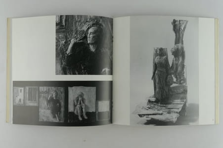 Agnès Bracquemond Sculptures. Galerie Vieille du Temple 14 septembre - 19 octoBre 1991. Catalogue d'exposition SIGNE par l'artiste.