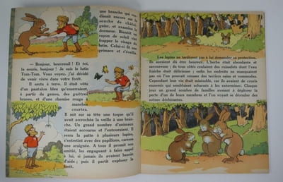 Tom-Tom le lutin de la forêt