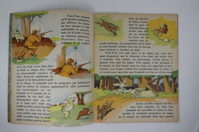 Tom-Tom le lutin de la forêt