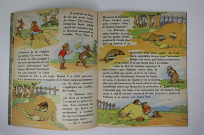 Tom-Tom le lutin de la forêt