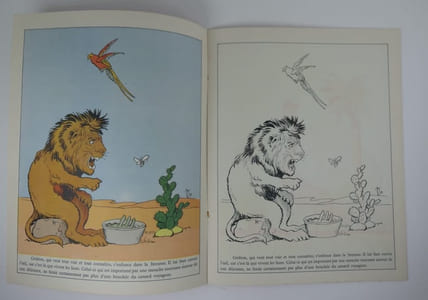 2 Albums à colorier - Animaux sauvages présentés par Gédéon & La ferme de Gédeon.