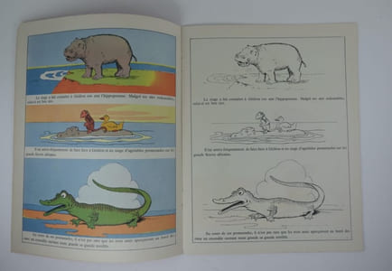 2 Albums à colorier - Animaux sauvages présentés par Gédéon & La ferme de Gédeon.