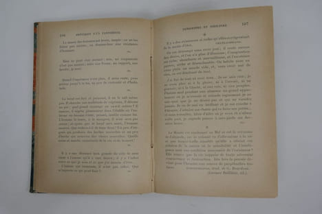 Le bréviaire d'un panthéiste et le pessimisme héroïque. Deuxième édition revue.. Jean LAHOR