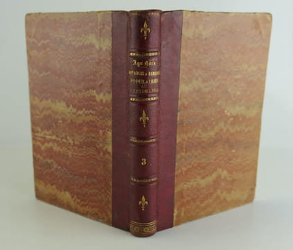 Croyances et remèdes populaires du pays de Liège. Auguste Hock