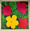 Andy Warhol / Flowers / Fleurs / Sérigraphie 1964 / coll. Harry N. Abrams  (70cm x 70cm). Andy WARHOL
