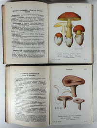Les champignons de France, 3e édition. Les champignons comestibles et vénéneux. Tome 1 & 2, complet. 224 planches coloriées, d'après les aquarelles de Mlle J. Boully et de Mr Porchet. Encyclopédie pratique du naturaliste XXII & XXIII.