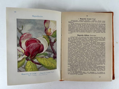 Les arbres, arbustes et arbrissaux d'ornement. 90 planches coloriées, avec explications. 100 figures originales de l'auteur. Encyclopédie pratique du naturaliste XII.