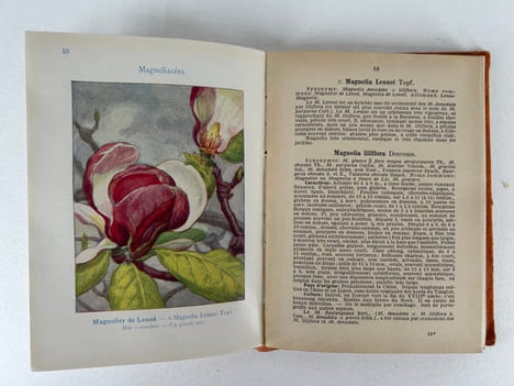 Les arbres, arbustes et arbrissaux d'ornement. 90 planches coloriées, avec explications. 100 figures originales de l'auteur. Encyclopédie pratique du ...