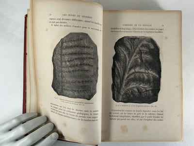 La vie souterraine ou Les mines et les mineurs. Ouvrage illustré de 160 gravures sur bois, de 20 cartes tirées en couleurs et de 10 planches imprimées en chromo-lithographie