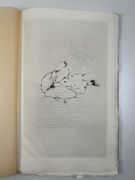 (CURIOSA) La Légende des sexes. Poëmes hystériques. Illustré d'une gravure aquarellée et de seize pointes sèches de Frans de Geetere. par [HARAUCOURT (Edmond)]. CHAMBLEY (Le Sire de) - Image 11