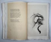 (CURIOSA) La Légende des sexes. Poëmes hystériques. Illustré d'une gravure aquarellée et de seize pointes sèches de Frans de Geetere. par [HARAUCOURT (Edmond)]. CHAMBLEY (Le Sire de) - Image 5