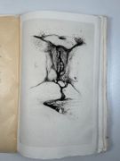 (CURIOSA) La Légende des sexes. Poëmes hystériques. Illustré d'une gravure aquarellée et de seize pointes sèches de Frans de Geetere. par [HARAUCOURT (Edmond)]. CHAMBLEY (Le Sire de) - Image 7