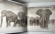 Image de livre