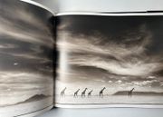 Image de livre