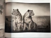 Image de livre