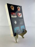 Les lois de l'attraction par Bret Easton Ellis. Traduit par Brice Matthieussent.