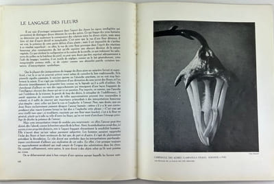 Documents. Numéro 3. Doctrines, archéologie, beaux-arts, ethnographie. Juin 1929. F. ADAMA VAN SCHELTEMA. La trouvaille d'Oseberg. - Paul RIVET. L'étude des civilisations matérielles; Ethnographie, Archéologie, Préhistoire. - Gravures de Jacques Bellange, peintre lorrain. - Emil WALDMANN. Eugène Delacroix : Le Roi Rodrigue. - Georges BATAILLE. Le langage des fleurs. - Carl EINSTEIN. Notes sur le cubisme. - André SCHAEFFNER. Rossini : L'Italiana in Algeri. - Dictionnaire critique : Absolu, Matérialisme, Métaphore. - Eckehard UNGER. Le Spynx hittite. Expositions.