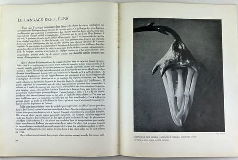 Documents. Numéro 3. Doctrines, archéologie, beaux-arts, ethnographie. Juin 1929. F. ADAMA VAN SCHELTEMA. La trouvaille d'Oseberg. - Paul RIVET. ...