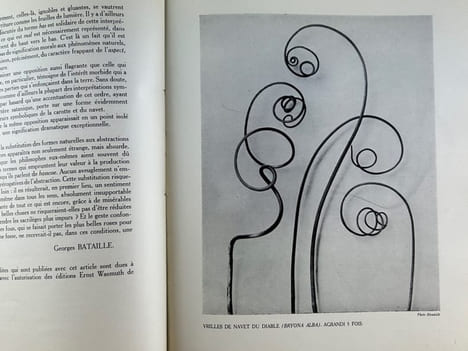 Documents. Numéro 3. Doctrines, archéologie, beaux-arts, ethnographie. Juin 1929. F. ADAMA VAN SCHELTEMA. La trouvaille d'Oseberg. - Paul RIVET. ...