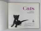 Grabianski's Cats. Janusz GRABIANSKI (1929-1976)