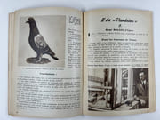 (Colombophilie) Mes secrets / Mijne geheimen. Joint : Les méthodes modernes des champions colombophiles belges (publié par le S.A. Ancienne Maison Louis Sanders, Bruxelles, 144p. par Gaston RYELANDT - Image 5