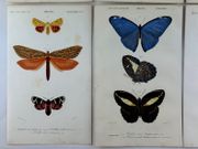 Image de livre