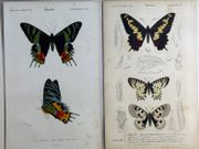 Image de livre