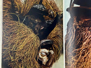 The Art of Africa : Tribal Masks from the Napstrek Museum, Prague par Erich Herold. Photography by Jindrich Marco - Image 8
