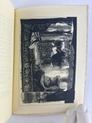 Chroniques de la grande volière de l'oeil (Coucou - Rut - Les Nuées) par Jehan Van LANGHENHOVEN - Image 4