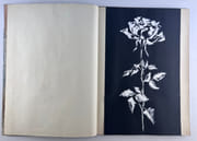 LIVRE D'ARTISTE. Exemplaire unique constitué de 6 oeuvres originales autour de la représentation de la rose. par Anonyme - Image 3
