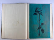 LIVRE D'ARTISTE. Exemplaire unique constitué de 6 oeuvres originales autour de la représentation de la rose. par Anonyme - Image 5