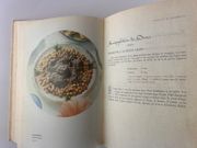 (Gastronomie) L'art culinaire à travers l'Algérie par Z. SEKELLI - Image 13