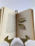 Pour un herbier. Aquarelles de Manet. par Colette - Image 3