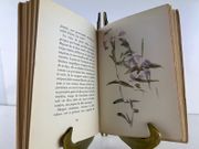 Pour un herbier. Aquarelles de Manet. par Colette - Image 4