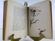 Pour un herbier. Aquarelles de Manet. par Colette - Image 5