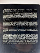 (Aviation) La foire aux aigles par Bernard Chabbert - Image 2