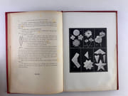 L'art de faire des jouets avec rien ! Pour les enfants de 4 ans à 10 ans.  par Marie de GRANDMAISON - Image 4