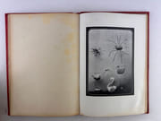 L'art de faire des jouets avec rien ! Pour les enfants de 4 ans à 10 ans.  par Marie de GRANDMAISON - Image 6