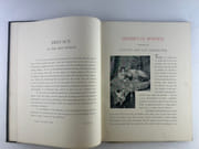 Henriette Ronner. The Painter of Cat Life and Cat Character par M H Spielmann - Image 3