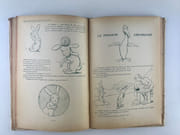 Réunions de deux ouvrages de Benjamin Rabier : Les contes du pélican rouge. Les contes du chien jaune par Benjamin RABIER - Image 4