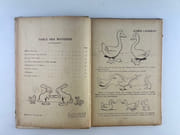 Réunions de deux ouvrages de Benjamin Rabier : Les contes du pélican rouge. Les contes du chien jaune par Benjamin RABIER - Image 6