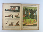 Réunions de deux ouvrages de Benjamin Rabier : Les contes du pélican rouge. Les contes du chien jaune par Benjamin RABIER - Image 7