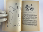 La cuisine chinoise en deux coups de baguettes. Facile et bon marché par Recettes de Yamei TSAI. Rédactrice Line Chamebrs. Illustratrice Mic Desgrés.  - Image 5